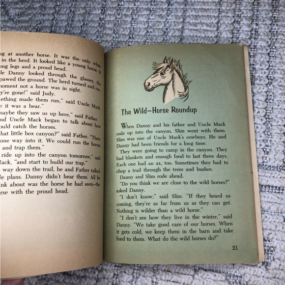 Star of Wild Horse Canyon Vintage 1965 Children’s Book by Clyde Robert Bulla - Picture 7 of 8